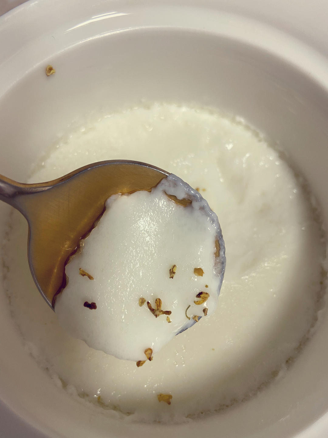 顺德双皮奶