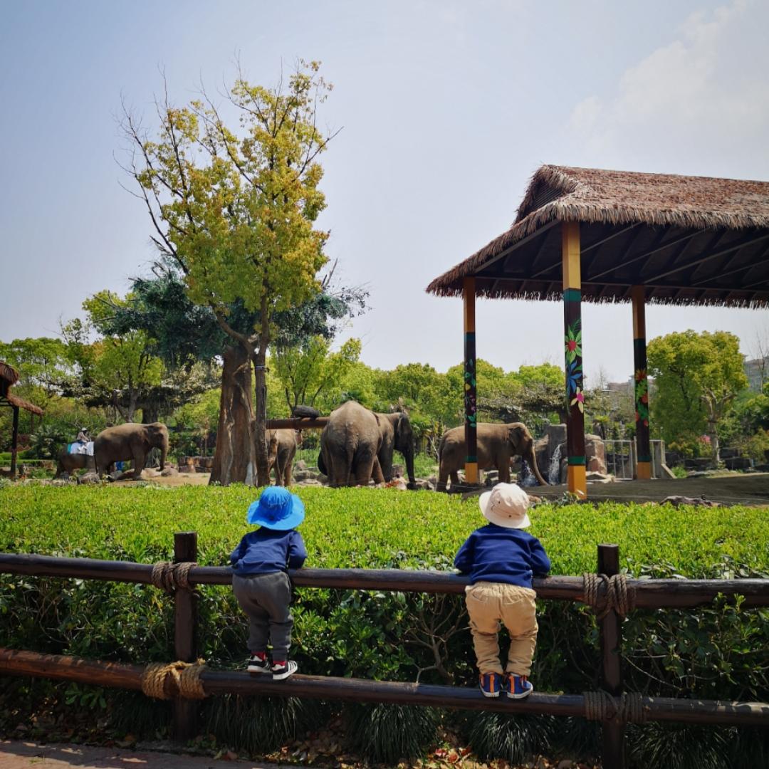 jinjin打算爱下厨