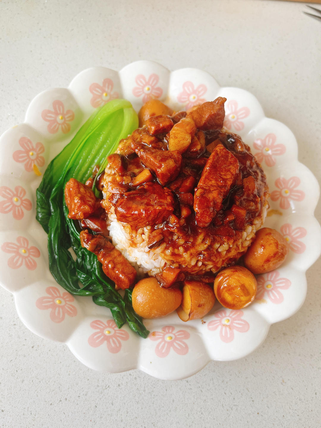 洋葱酥卤肉饭