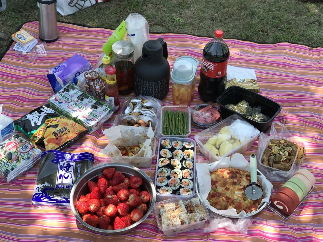去野餐