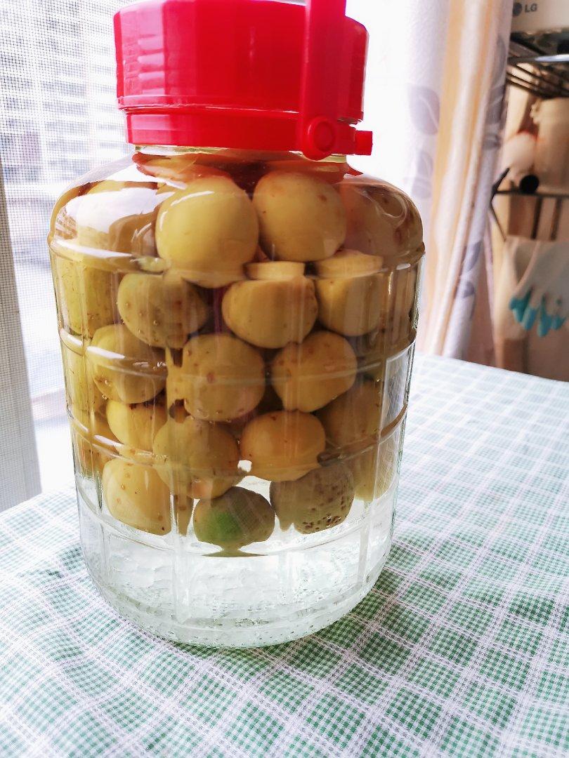 【青梅酒】梅子的沉醉时光（已填坑）