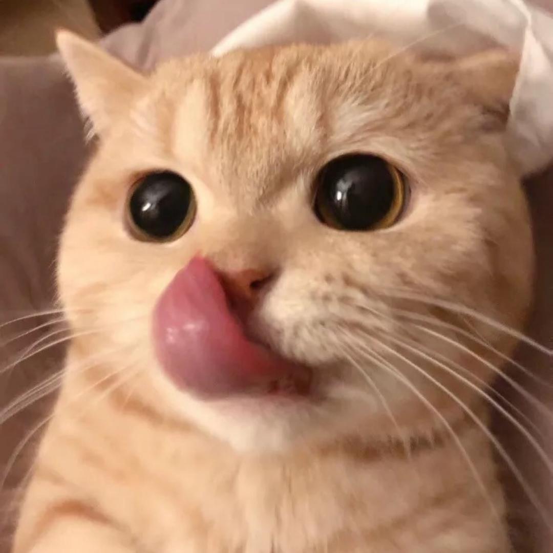 Meowlzzz