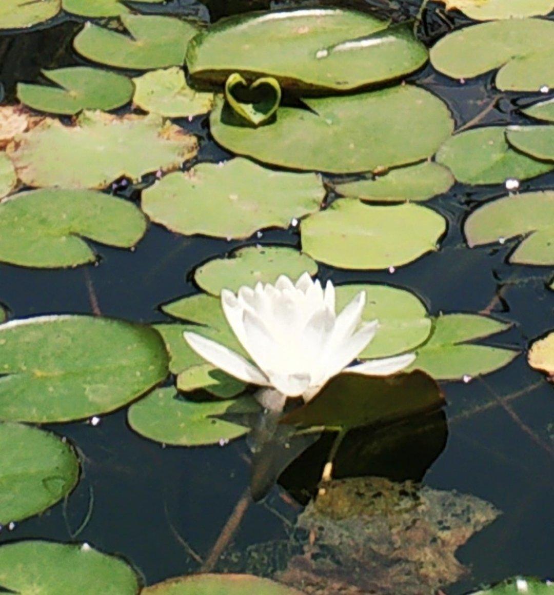 午餐•2019年6月14日