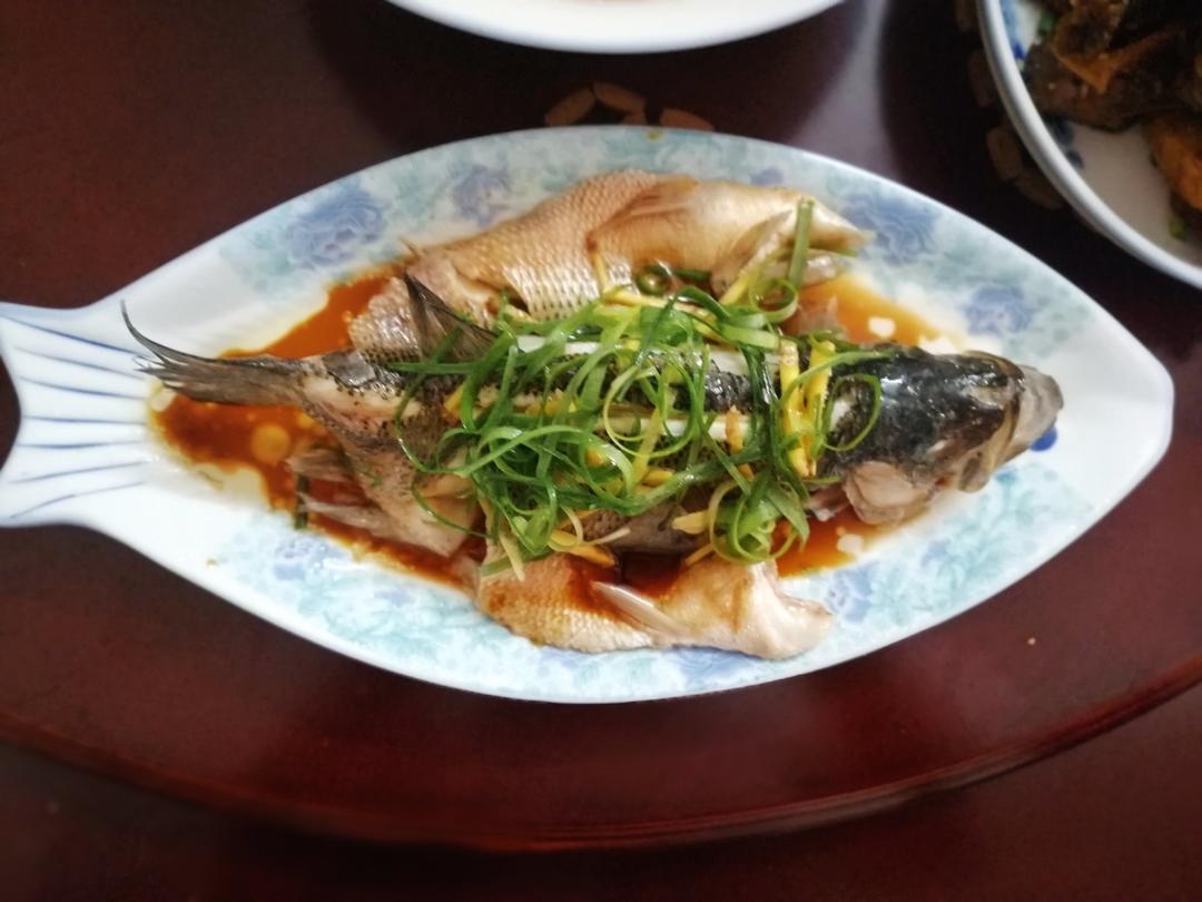 清蒸鱼（桂鱼、鲈鱼、多宝、鳊鱼均适用）