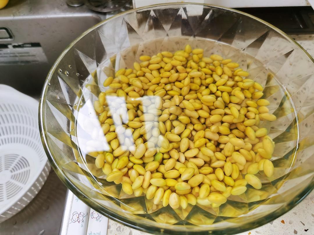 家庭自制豆花（石膏版，比内脂做的好吃太多）的做法 步骤2