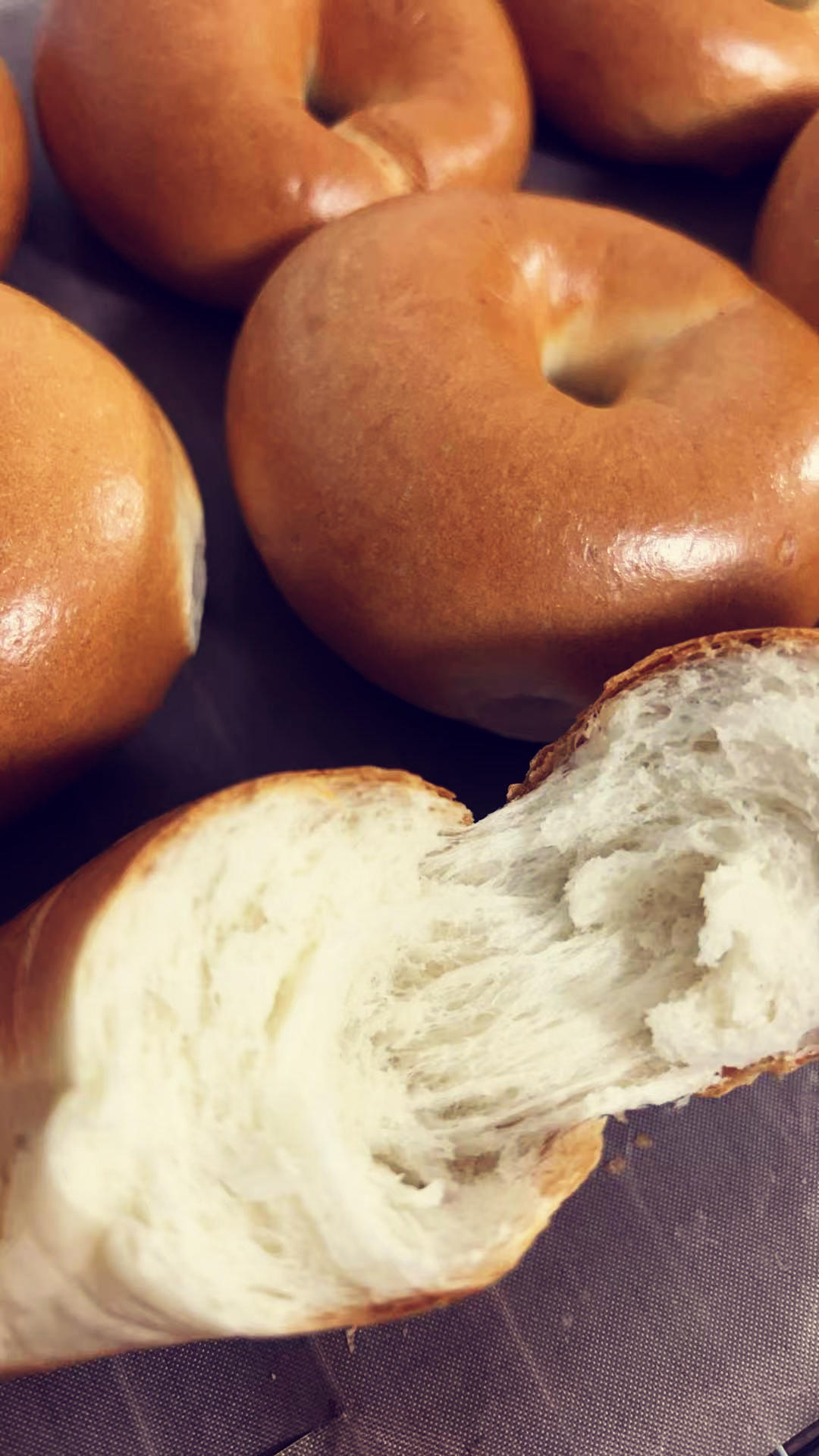 （波兰种）贝果