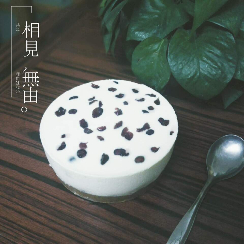 冻酸奶芝士蛋糕