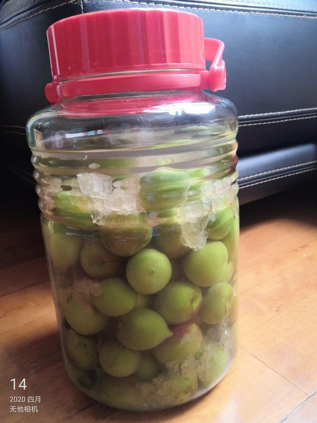 【青梅酒】梅子的沉醉时光（已填坑）