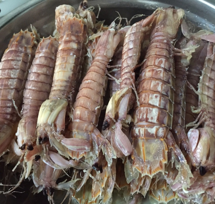 盐水皮皮虾