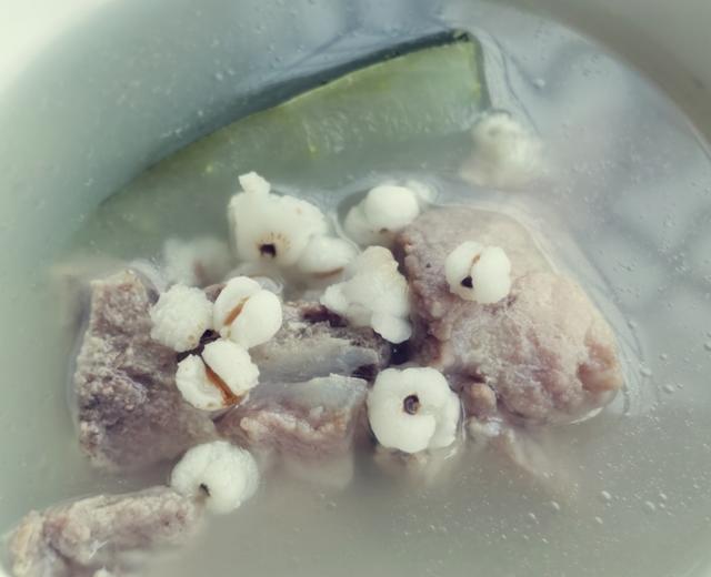 吃肉的冬瓜薏米猪骨去湿汤