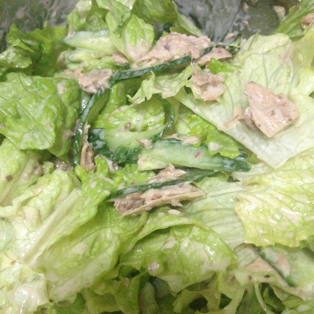 金枪鱼蔬菜沙拉