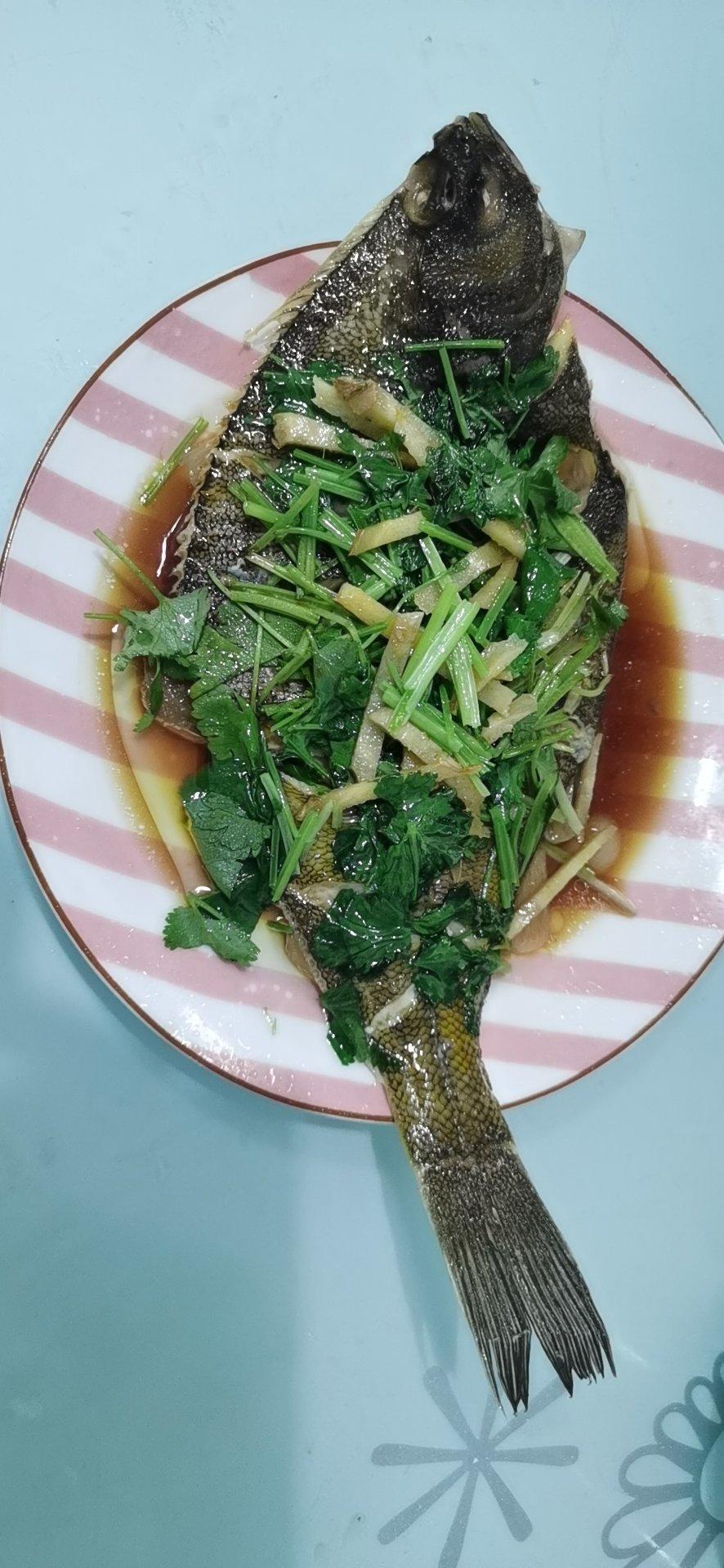 清蒸蝶鱼