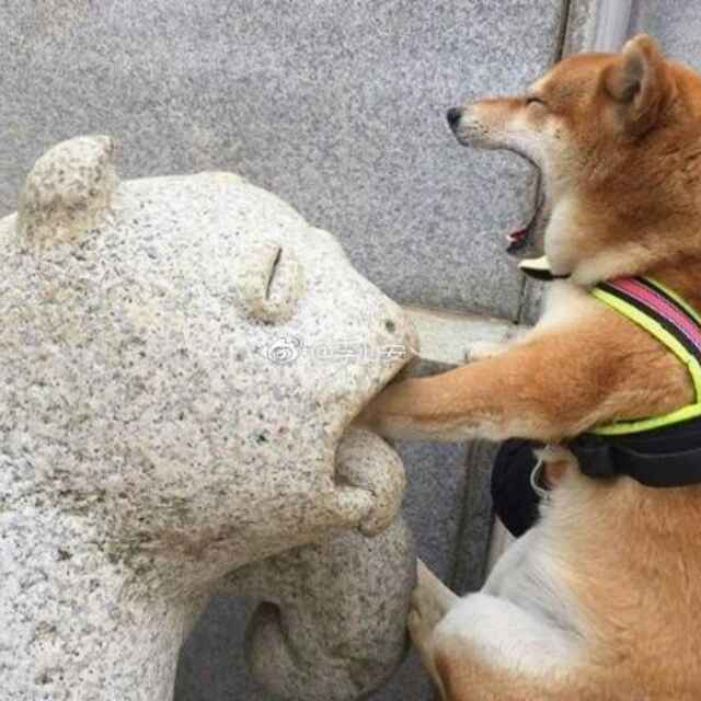 手机用户9863_s695