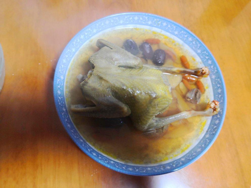 天麻蒸乳鸽