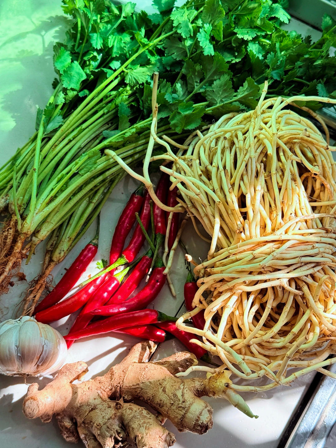 正宗凉拌折耳根