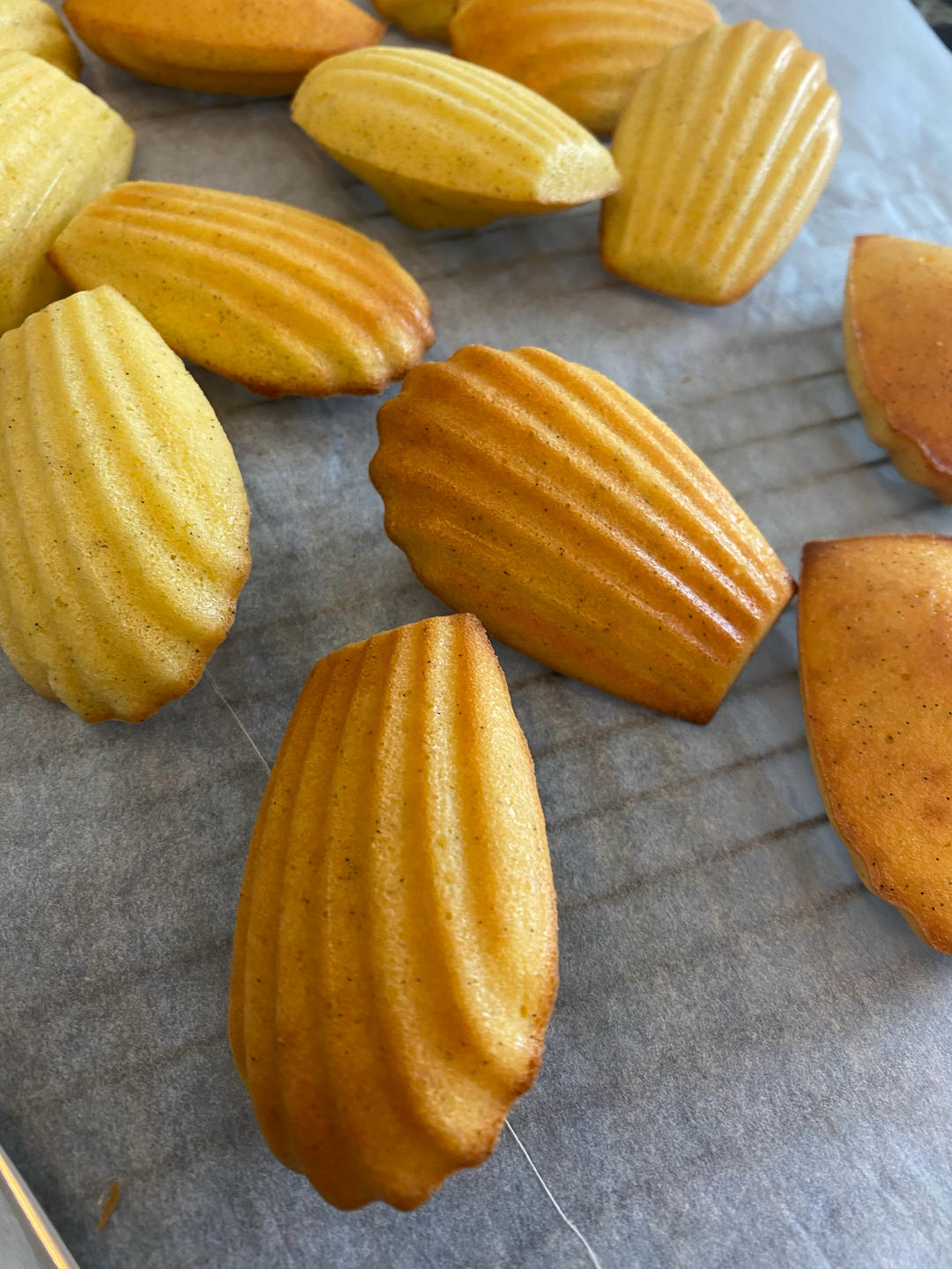 香草柠檬玛德琳