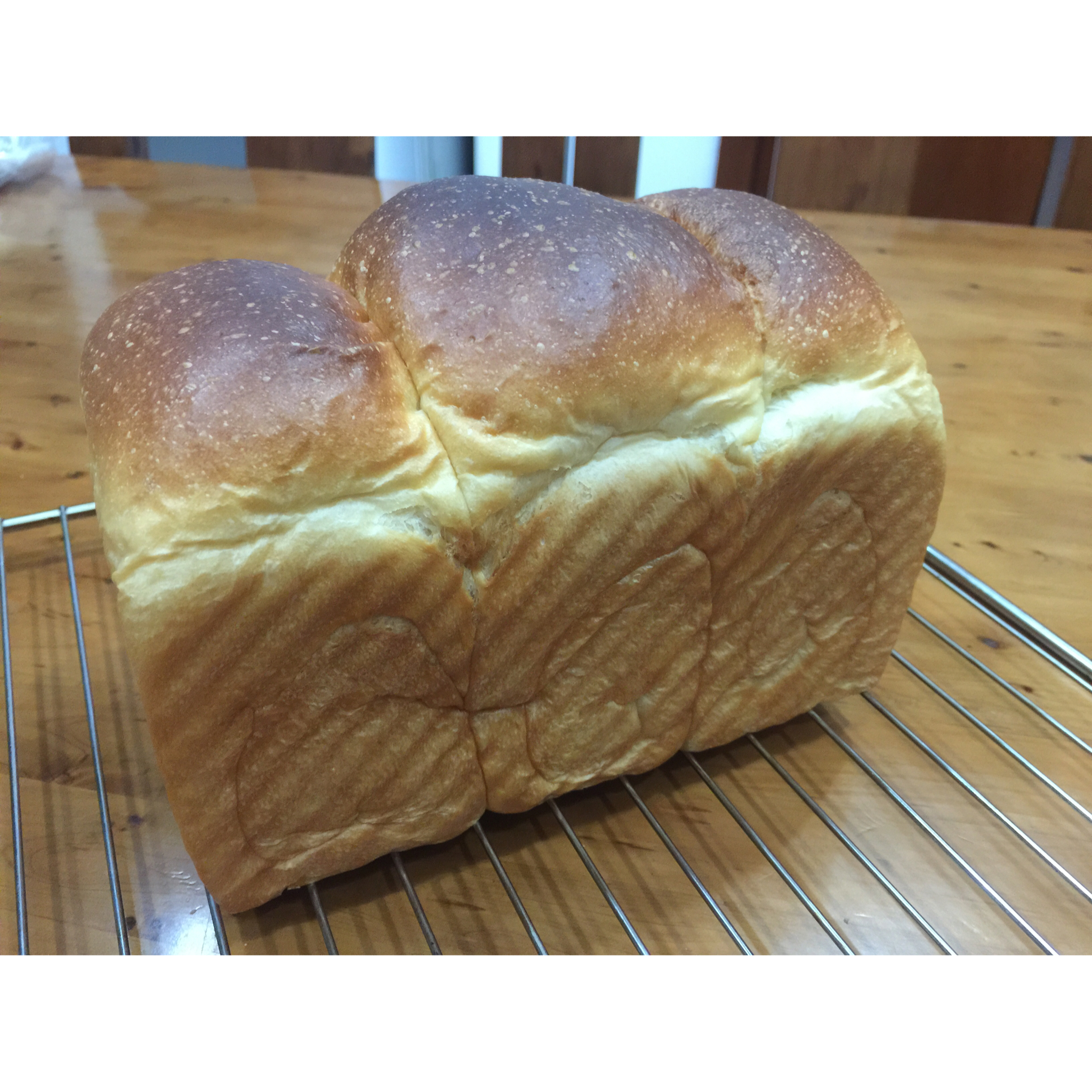 百分百中种北海道