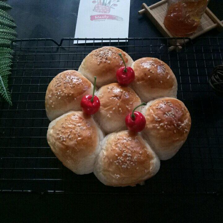 牛奶软面包（中种法）