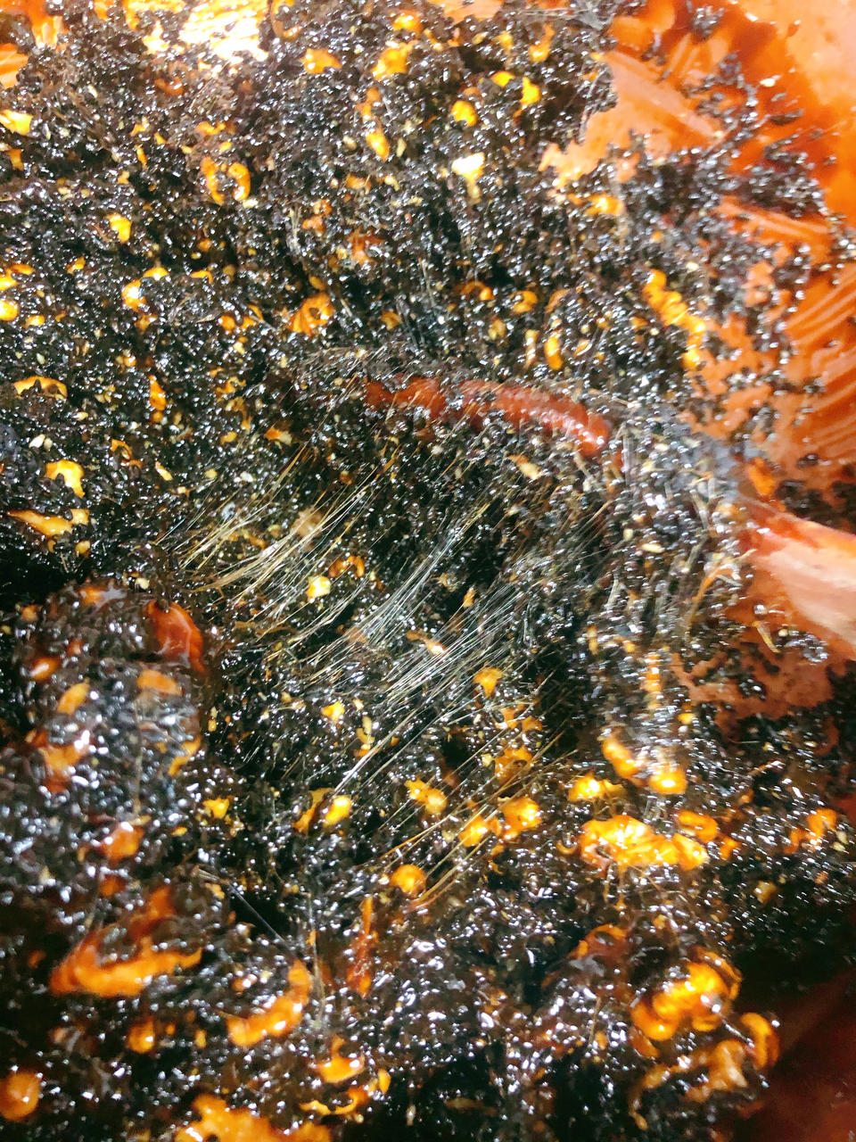 阿胶糕固元膏地道纯手工