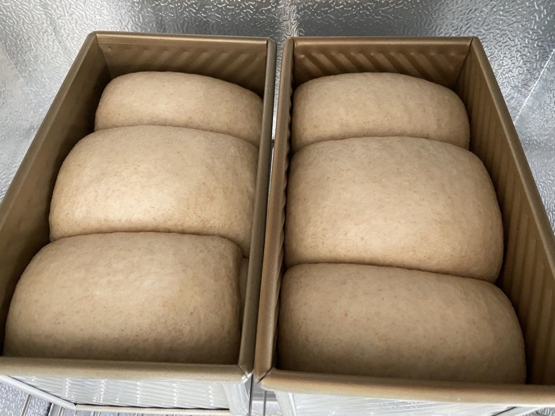 波兰种全麦吐司