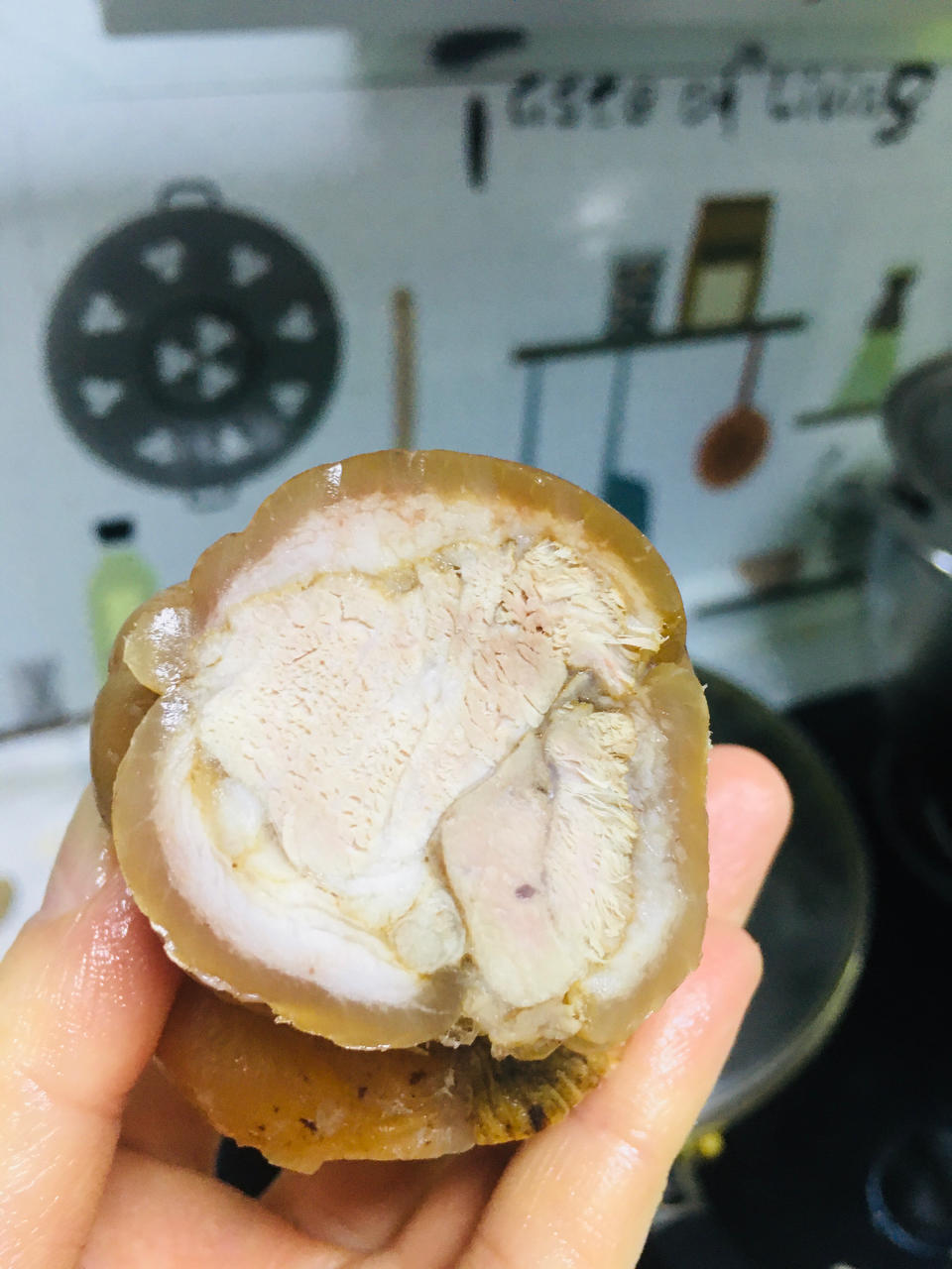 自制肘花（卤水的制作）