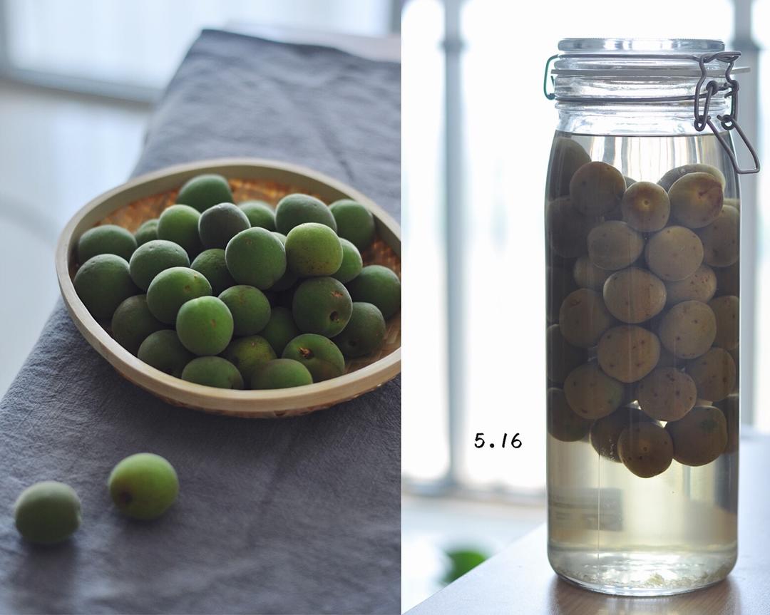 【青梅酒】梅子的沉醉时光（已填坑）