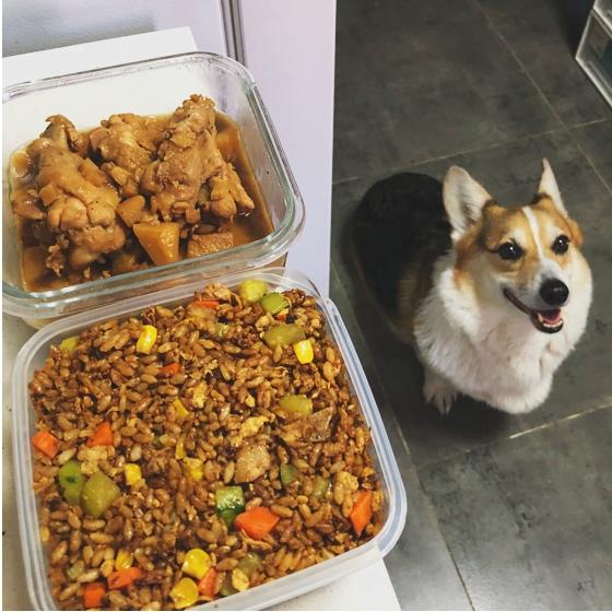 福工の便当