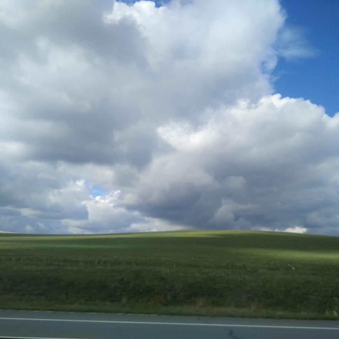 dreanfeifei