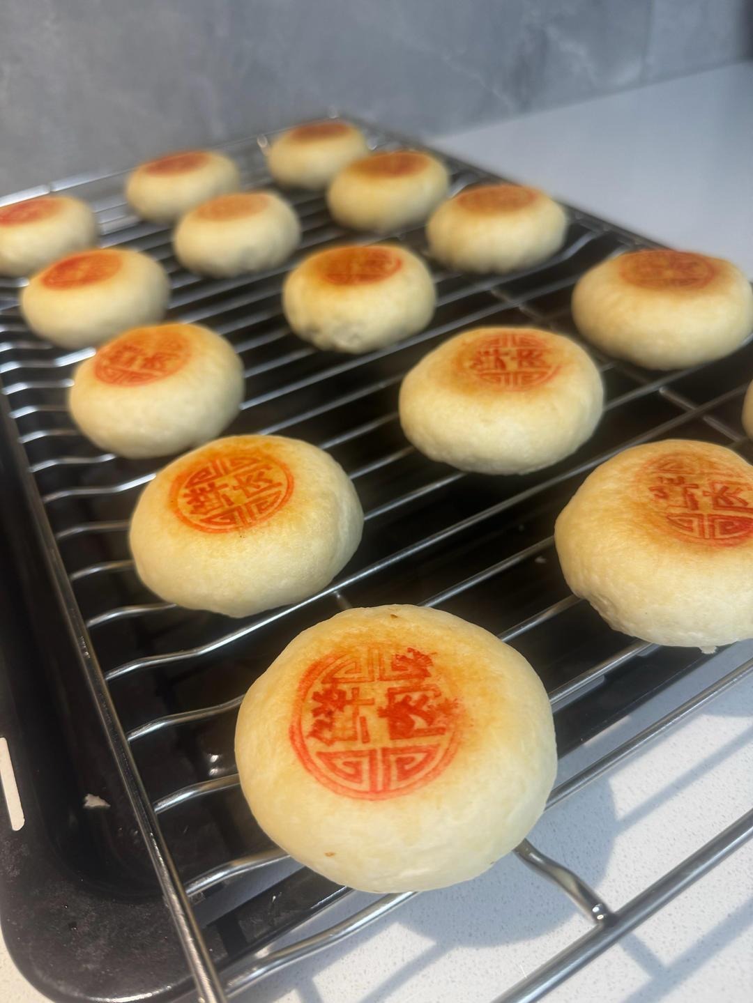 泳式鲜肉榨菜月饼