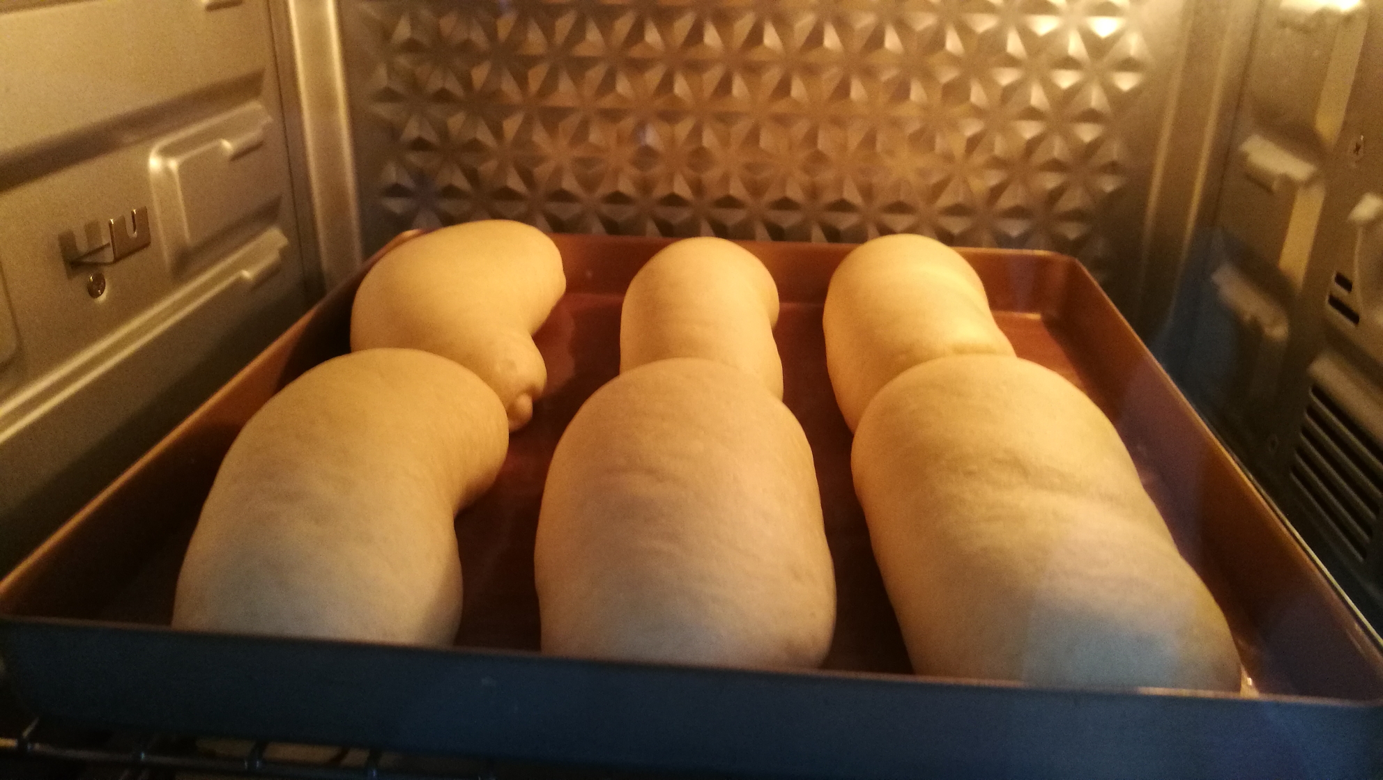 肉松控的最爱🍞肉松面包🍞的做法 步骤11
