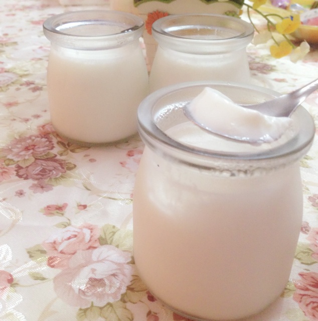 不用酸奶机 自制酸奶