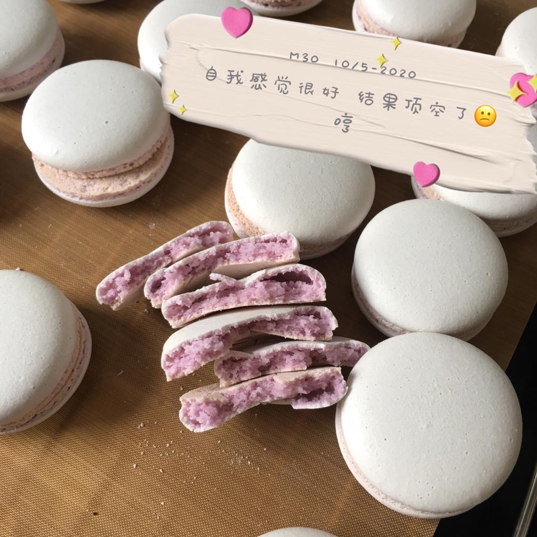 终于我也走上了磕马的道路