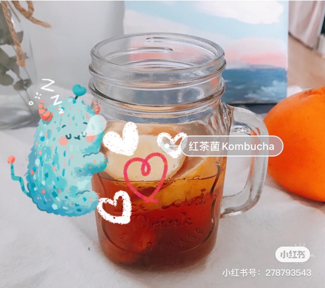 风靡全球的减脂养胃红茶菌康普茶Kombucha
