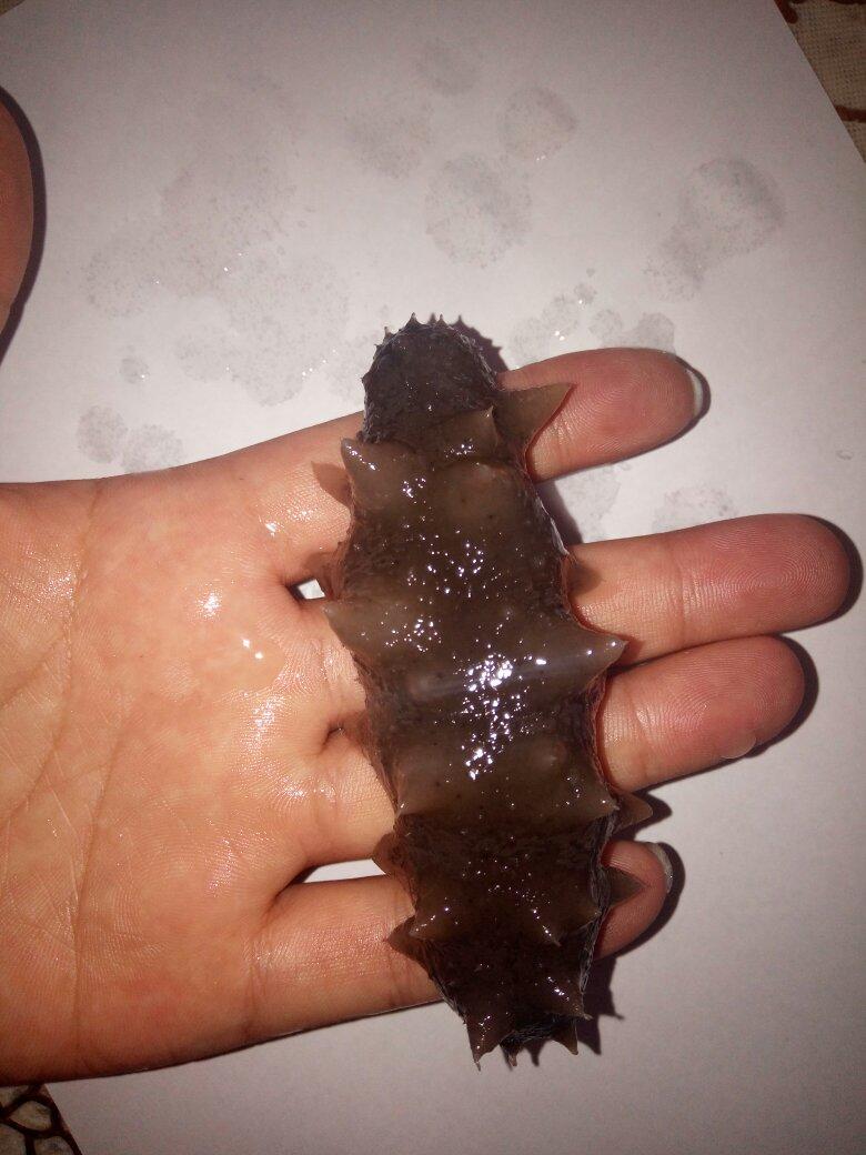 堂妈教你发海参