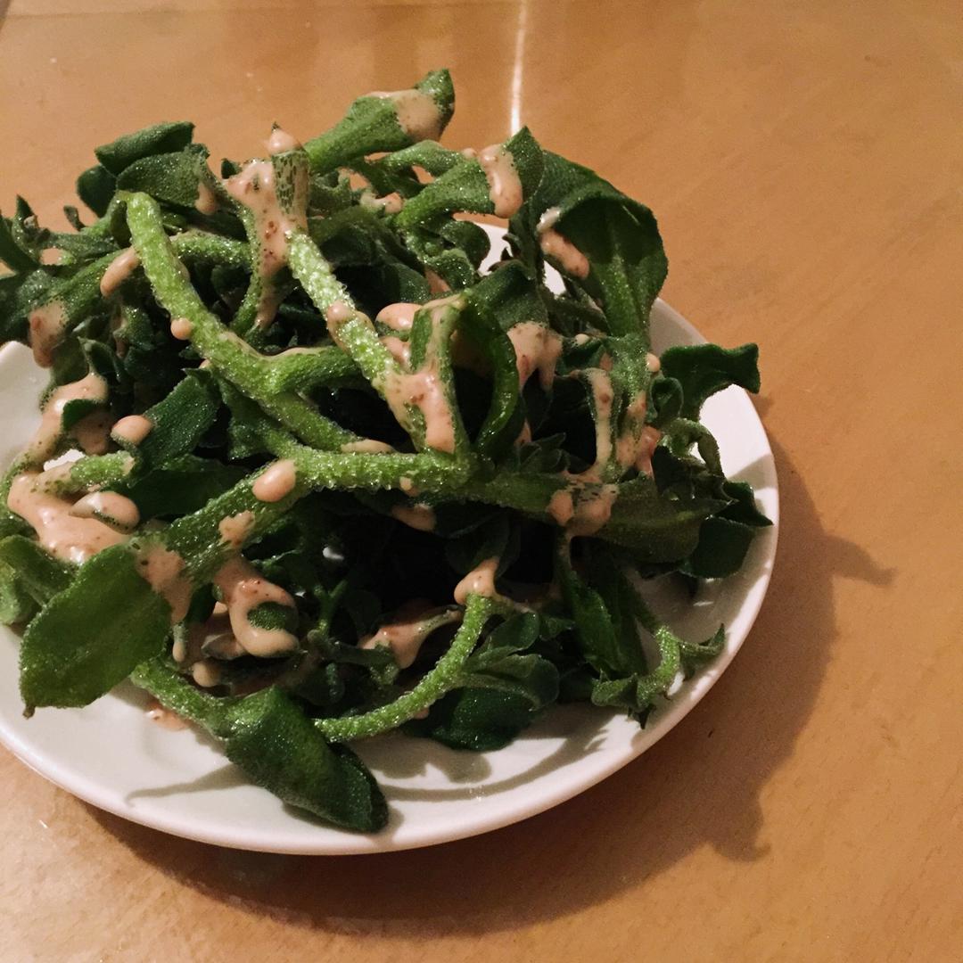 凉拌南非冰草