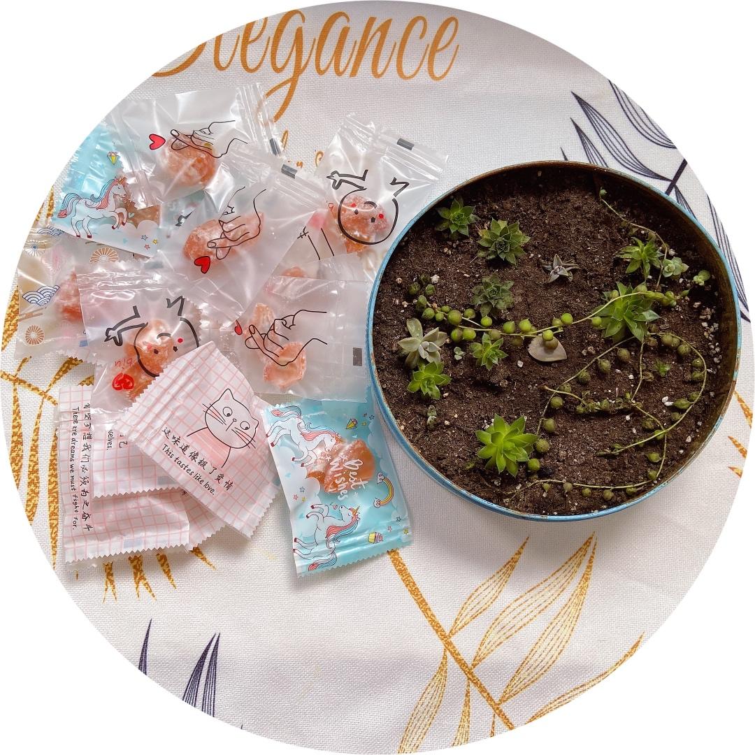 零失败❗️自制金桔蜜饯，干净又美味