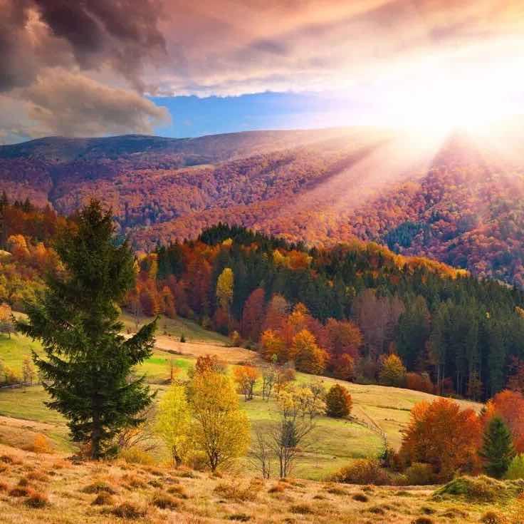 手机用户3601_dsxt