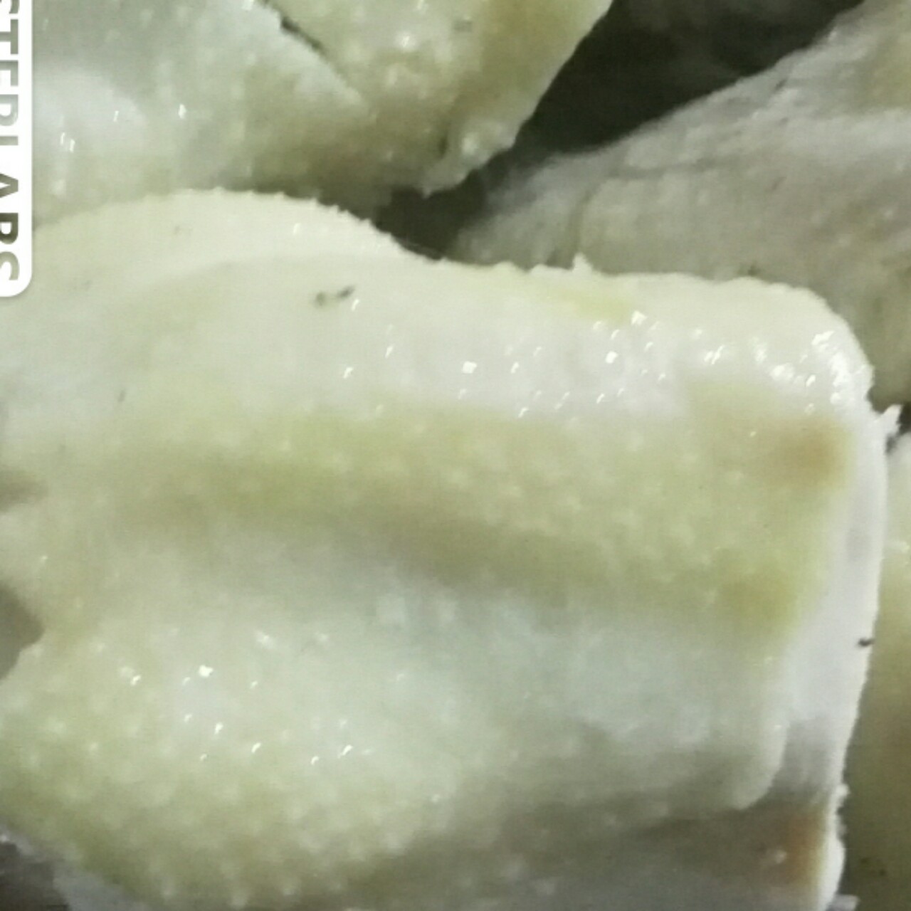 水蒸鸡