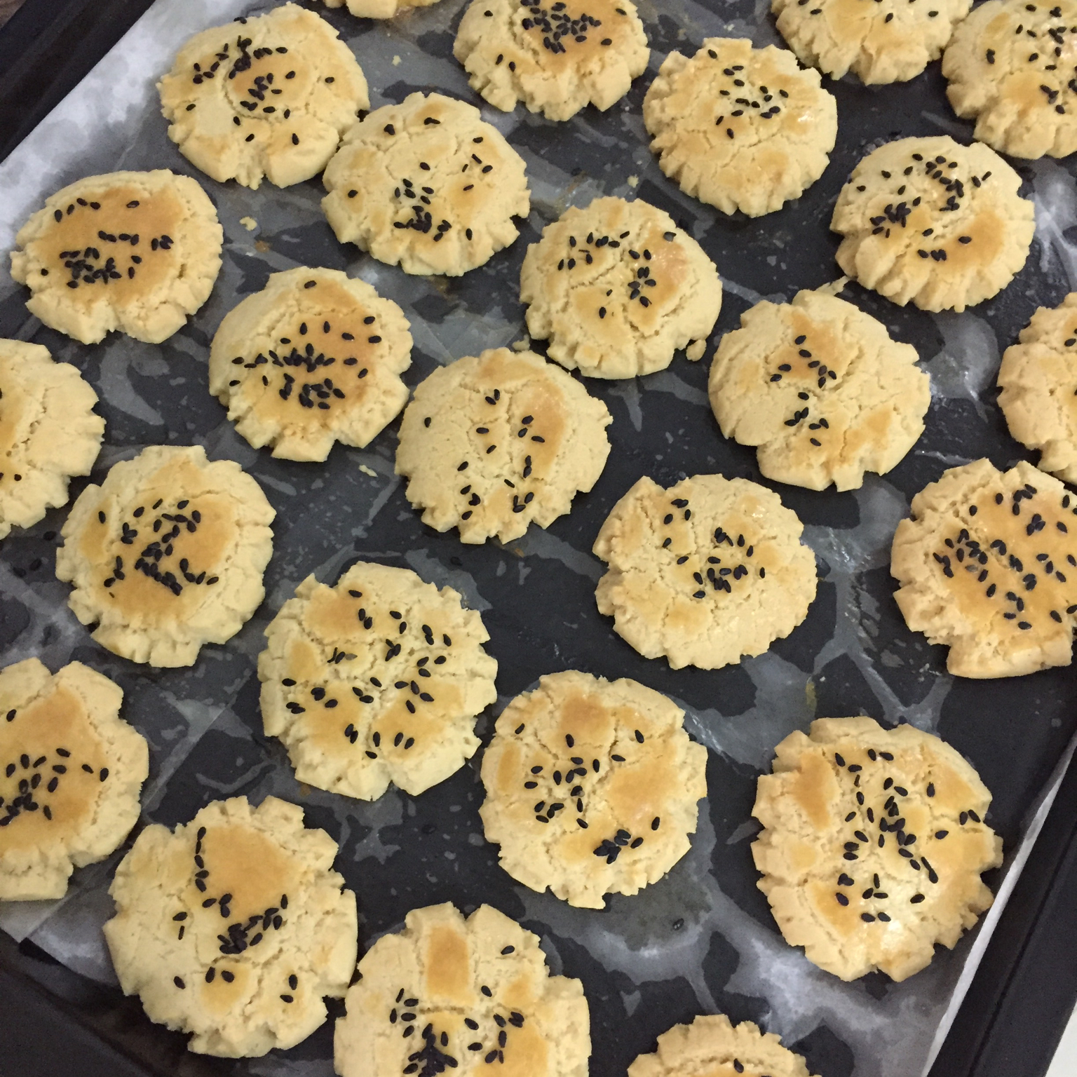 核桃酥 女侠森森