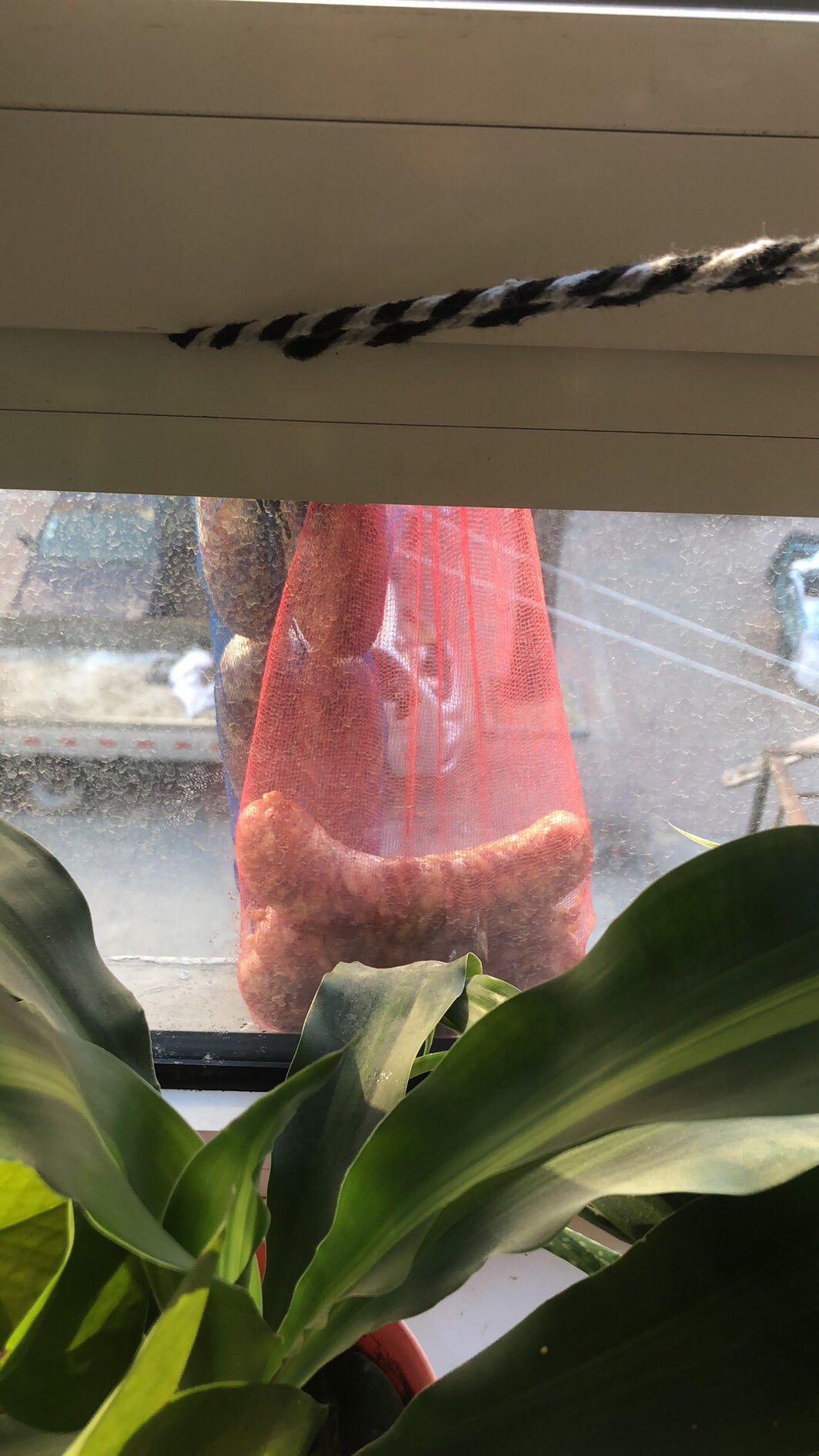 麻辣香肠