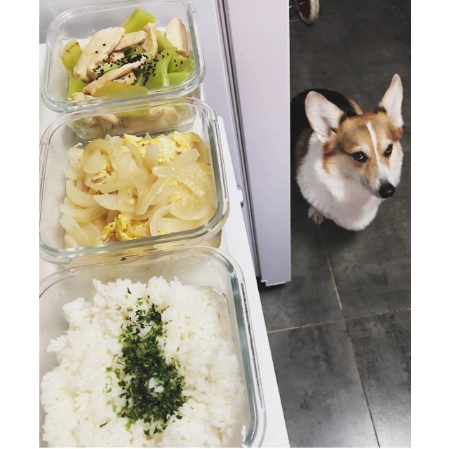 福工の便当