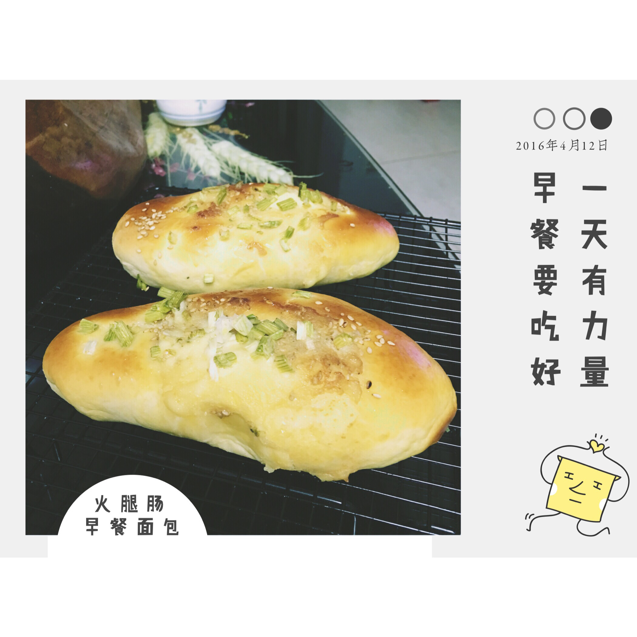 火腿肠早餐面包（一次发酵法）