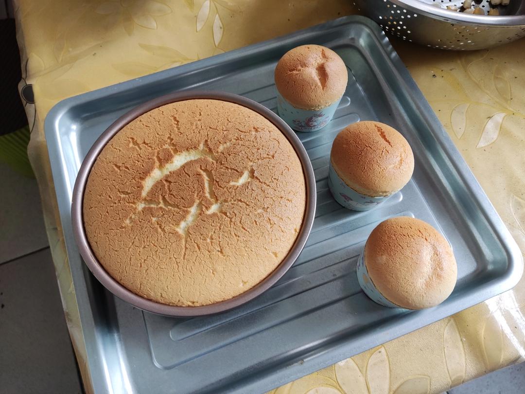 八寸，六寸戚风蛋糕【适合做生日蛋糕的蛋糕胚】