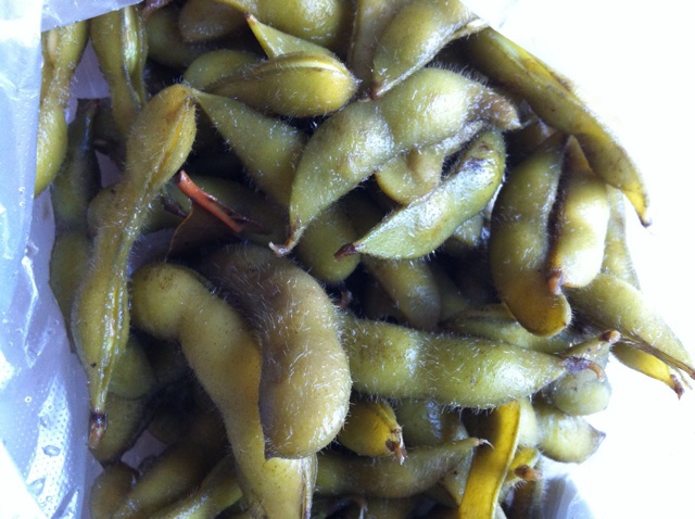 毛豆豆豆豆豆豆豆豆豆豆豆豆豆豆豆豆豆豆豆