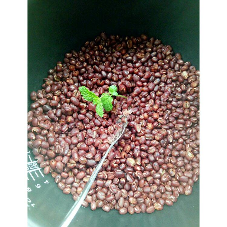 自制蜜红豆（简易版）