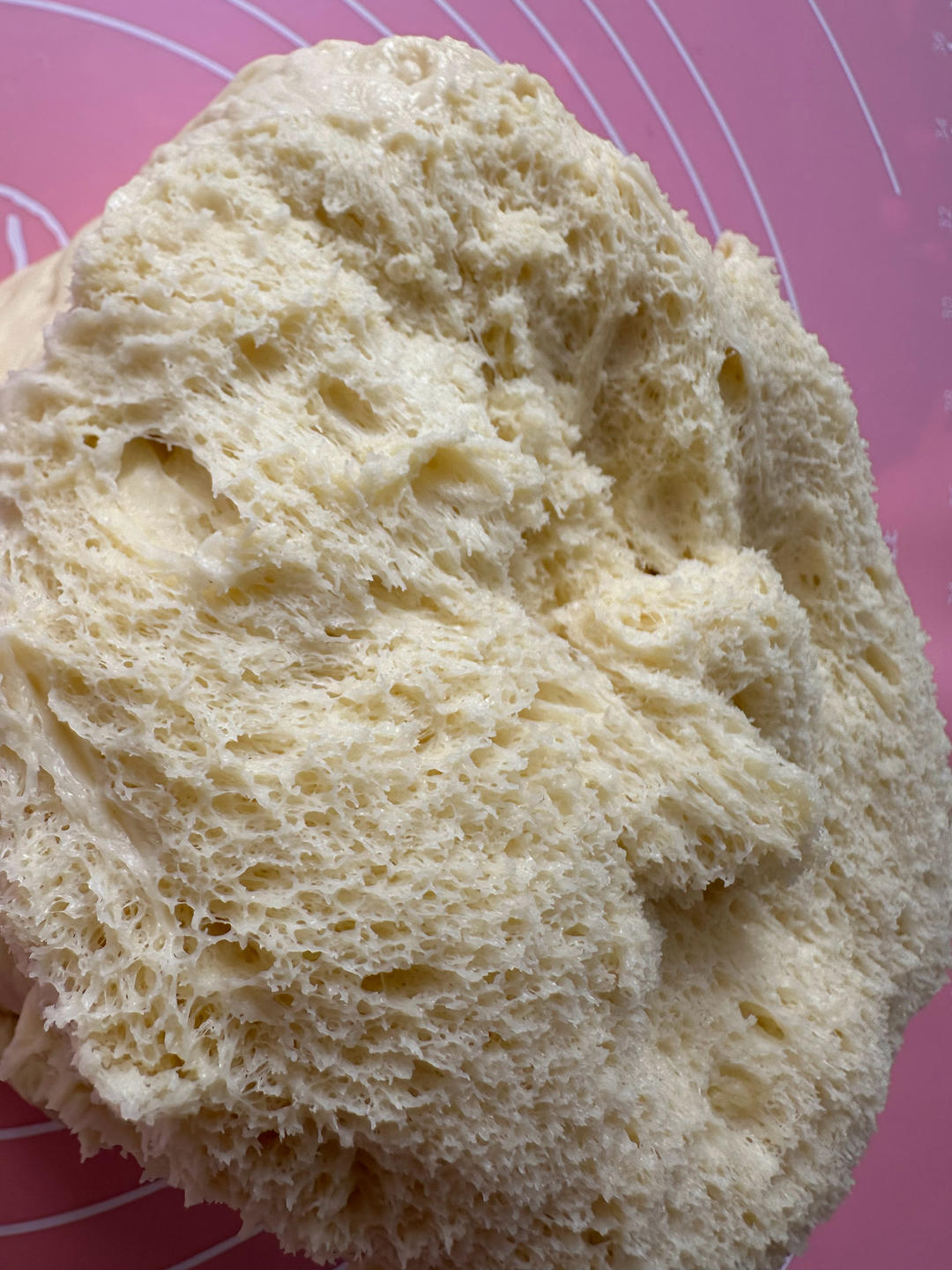 潘娜托尼 圣诞面包           Panettone（中种法）