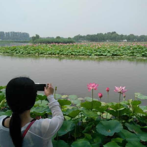 小红媛