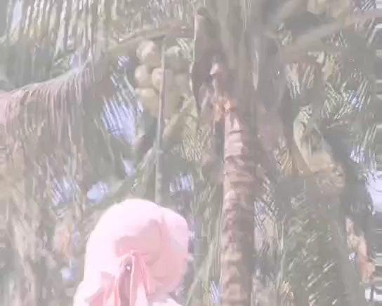 椰子鸡汤，简单易做，鲜美！