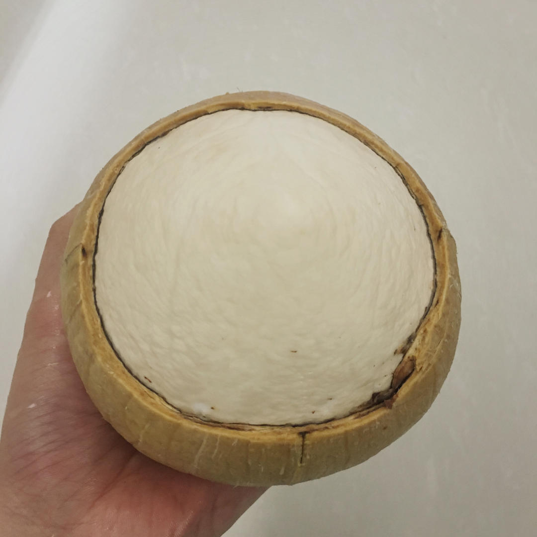 简单容易快捷的开椰法（椰皇）