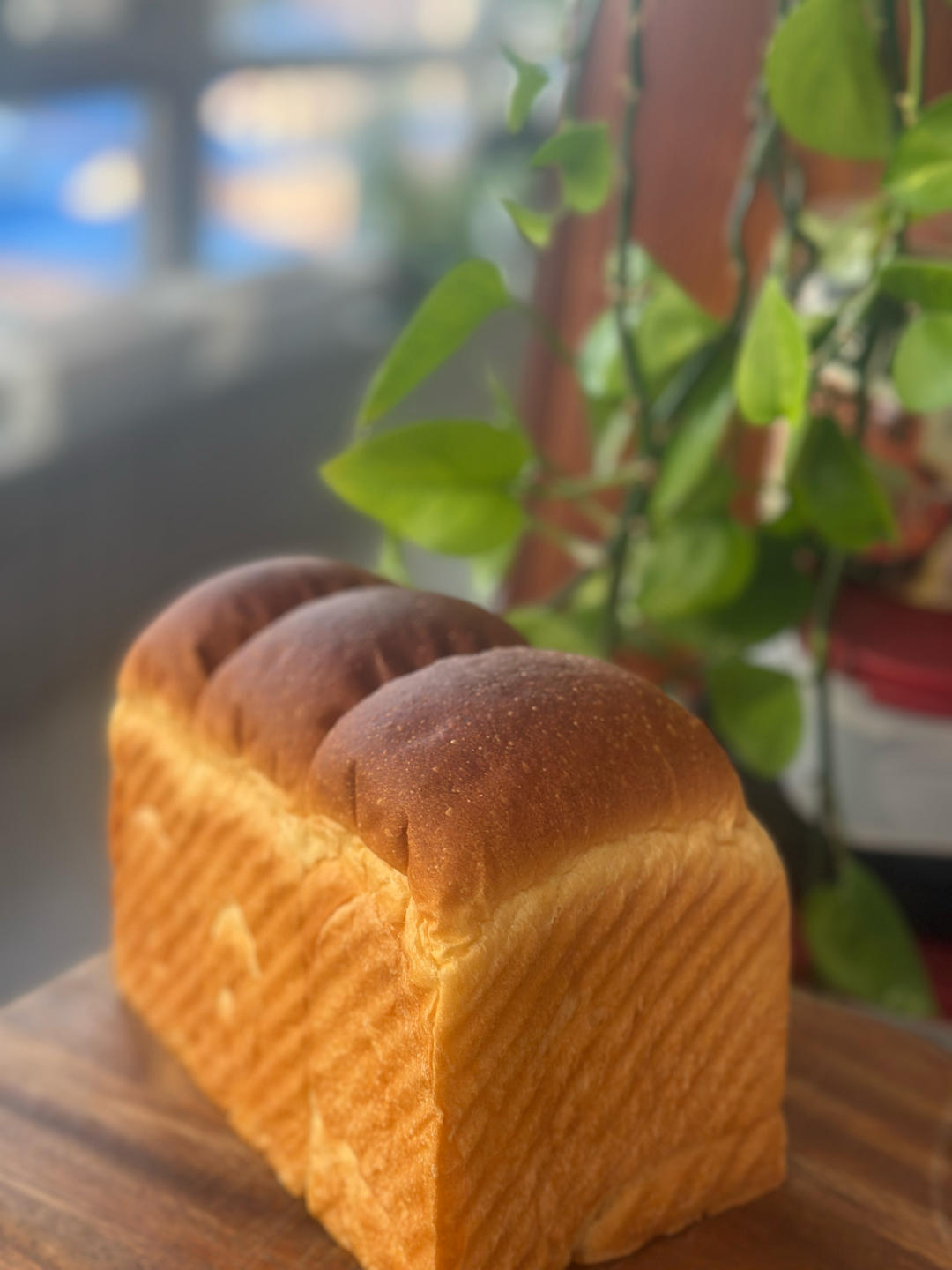 波兰种奶油吐司